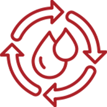 Sparkling diamond line icon symbolizing cellular purification and premium ingredient purity