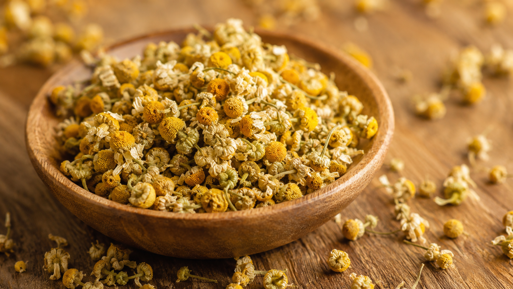 Dried chamomile flowers for herbal tea traditionally used for relaxation